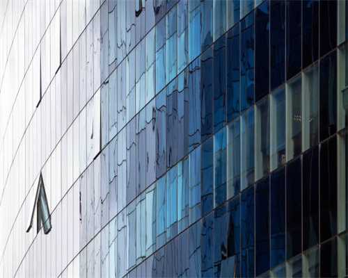 一年有三季在开花的特丽莎香茶菜，两广地区能养，盆栽好打理