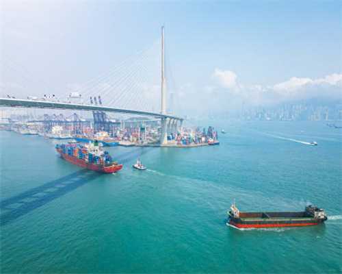 不同茶用不同器 五种茶的冲泡器具