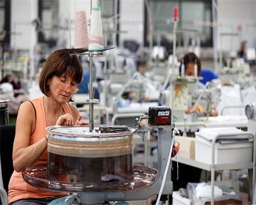 湖北枣阳：茶花烂漫好“丰”景