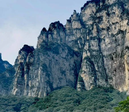 芝士荔枝的做法，「暴小兔茶饮」免费奶茶教程