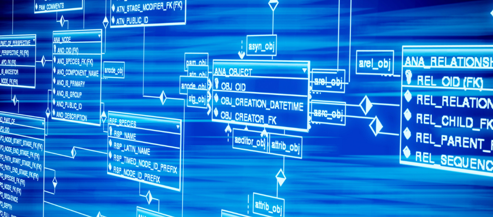 2025年保费规模或达14亿 每月一杯奶茶钱的“它保险”靠谱吗？