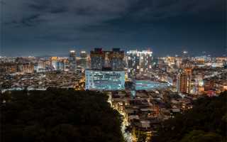 为什么新会柑配普洱茶才是最正宗地道的？