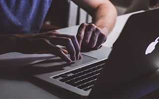 你了解洱茶中的“茶虫”吗？ 普洱茶的“茶虫