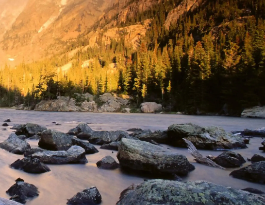 不懂茶，去茶叶店里应该怎么买茶？